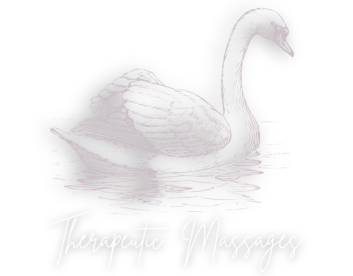 Santa Teresa Massages logo